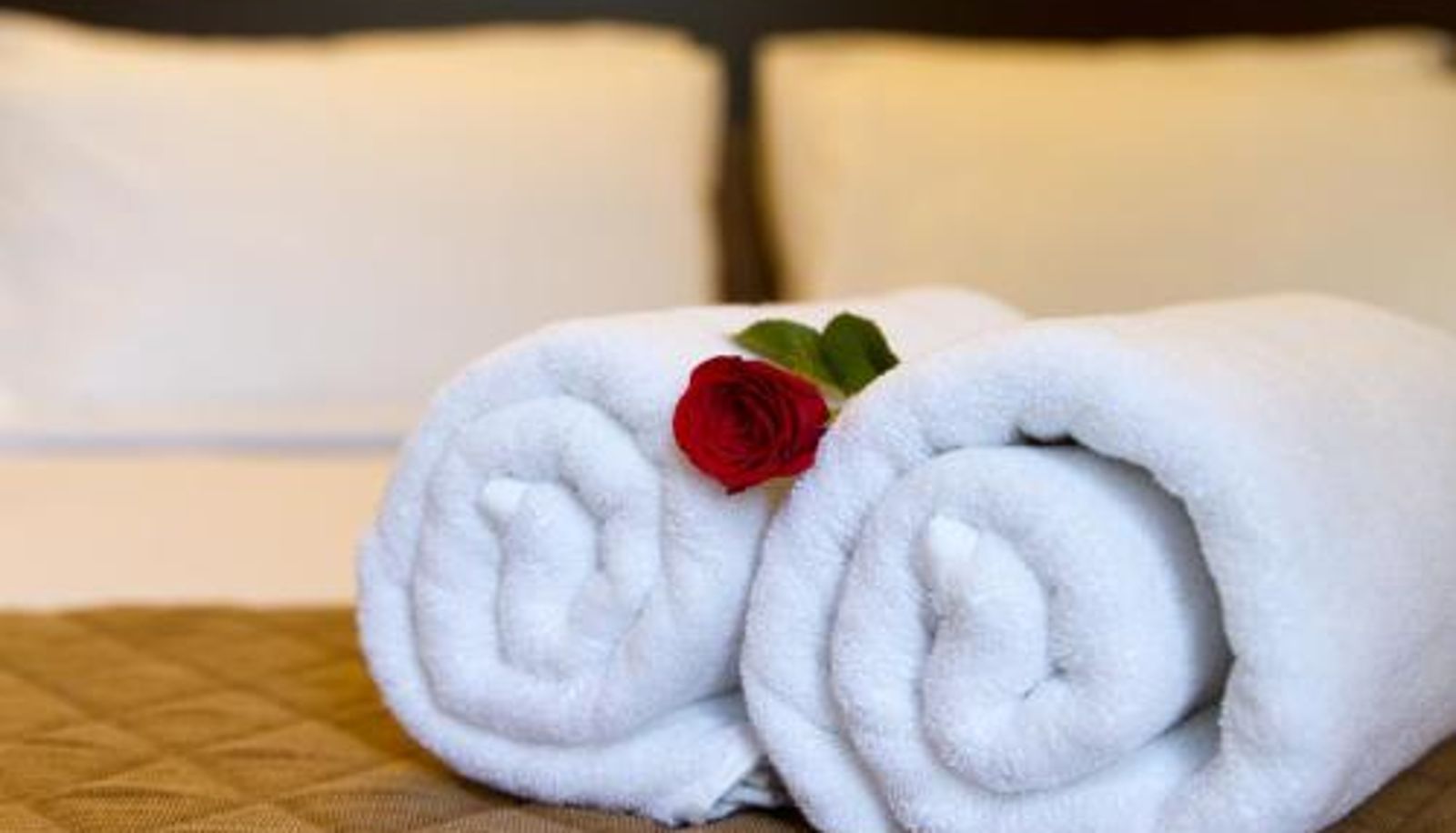 Zimmer - Sanctum Suites Whitefield Bangalore