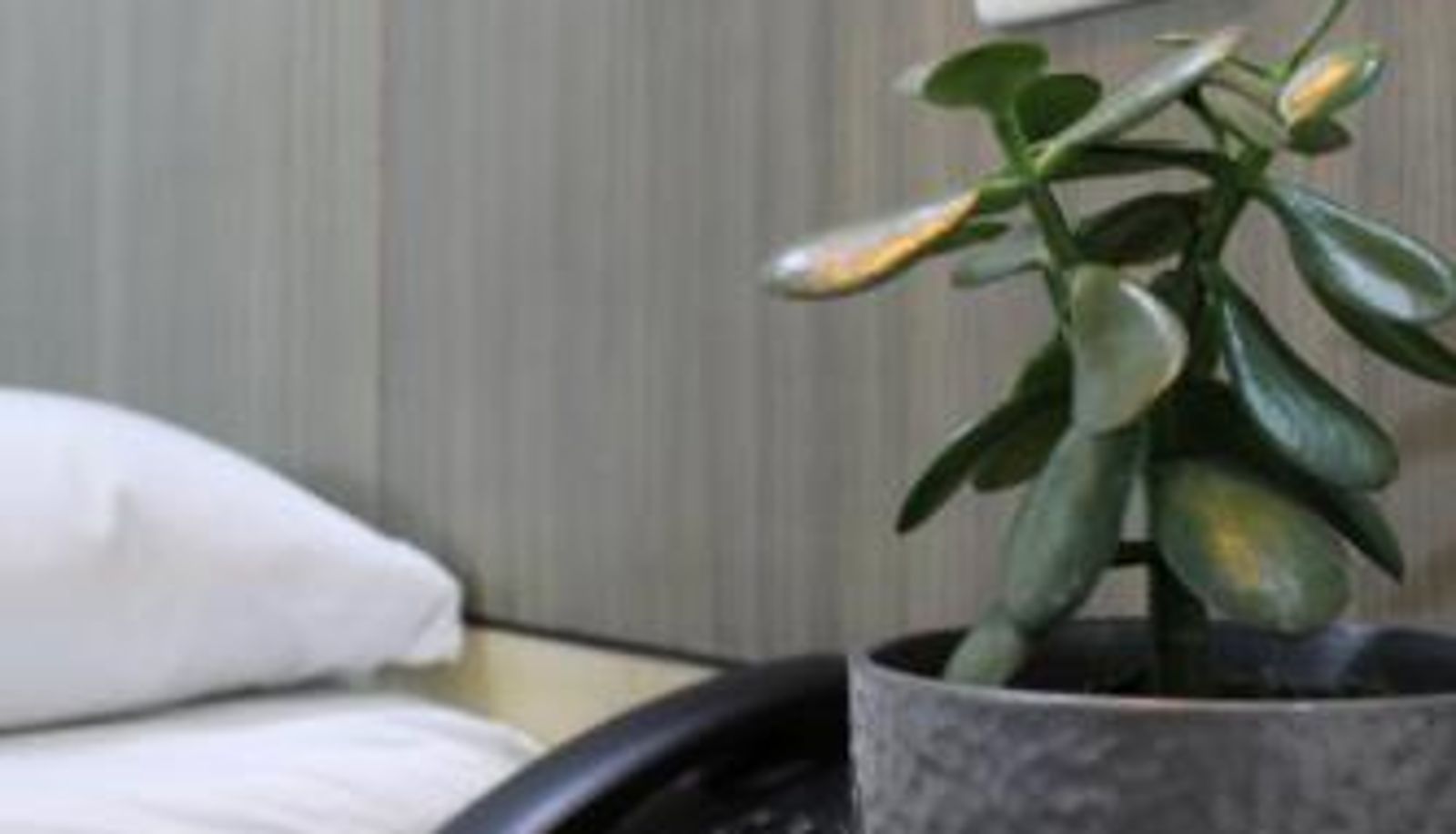 Driepersoonskamer - Hotel Merlott Lleras
