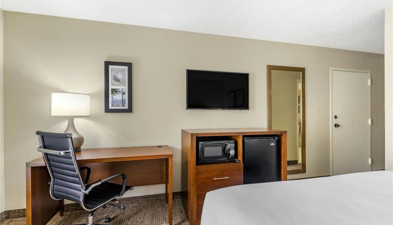 Camera - Comfort Inn & Suites St. Pete - Clearwater International Airport