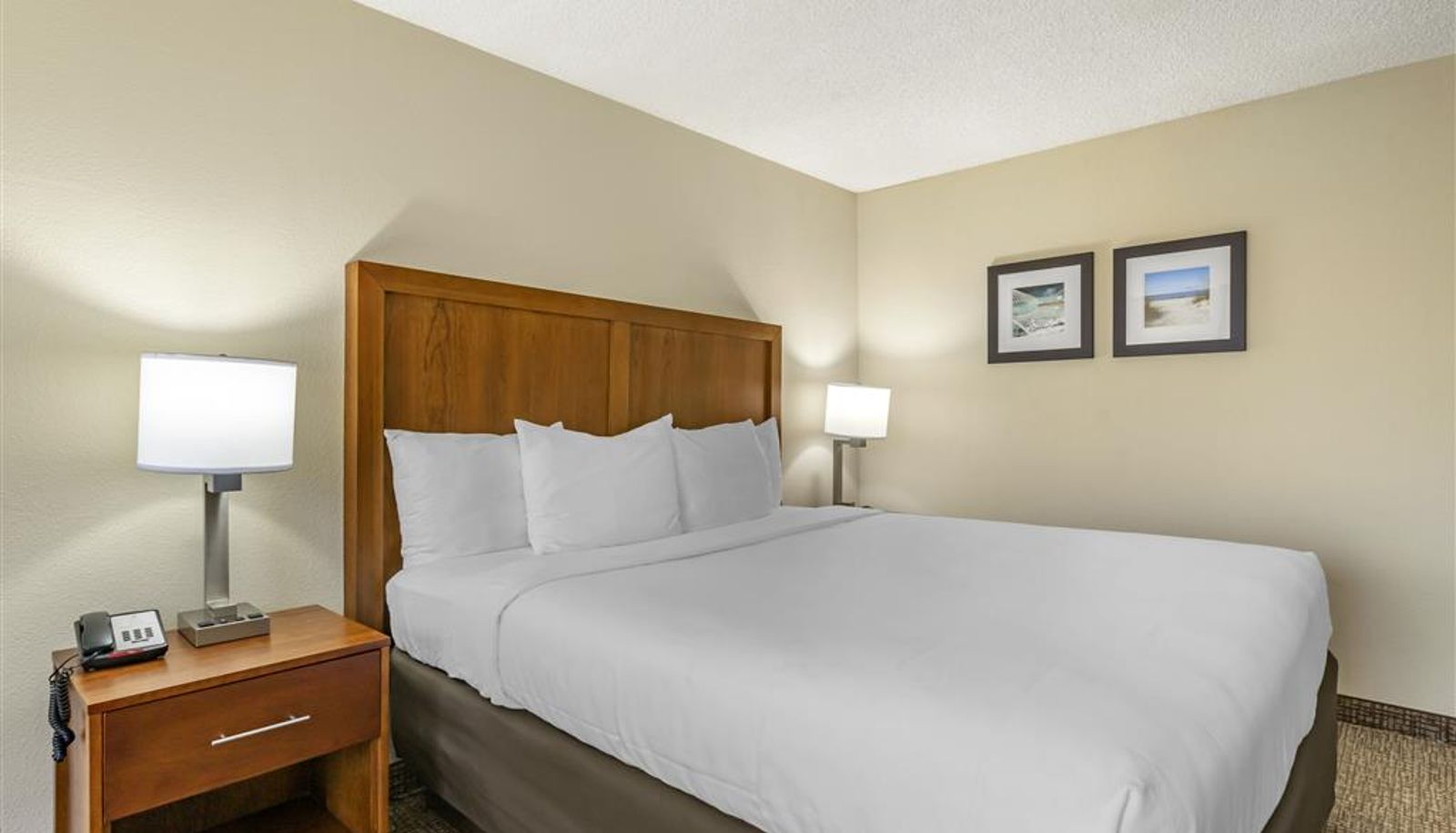 Camera - Comfort Inn & Suites St. Pete - Clearwater International Airport