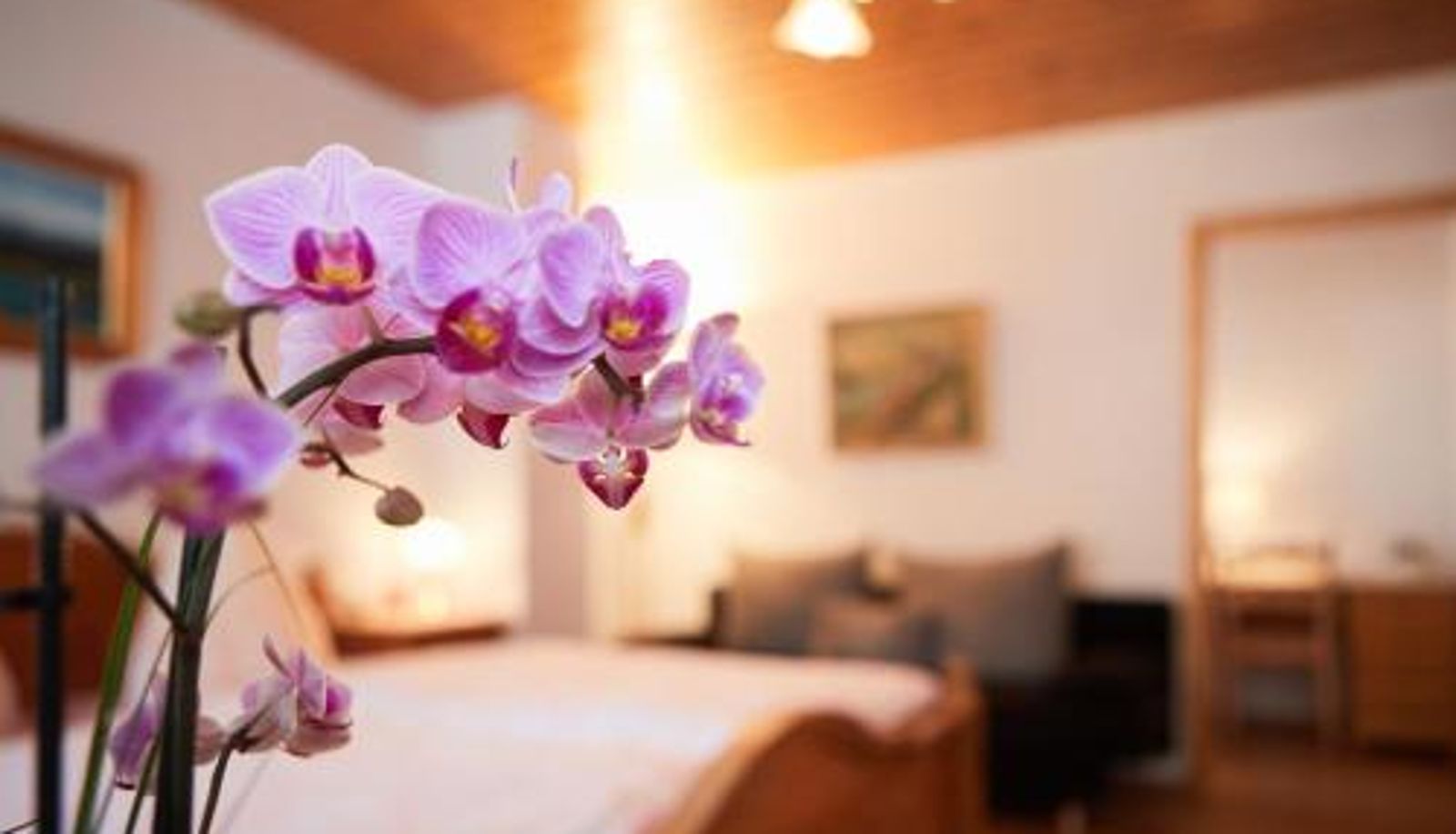 Kamer - Gasthof & Pension Steppacher