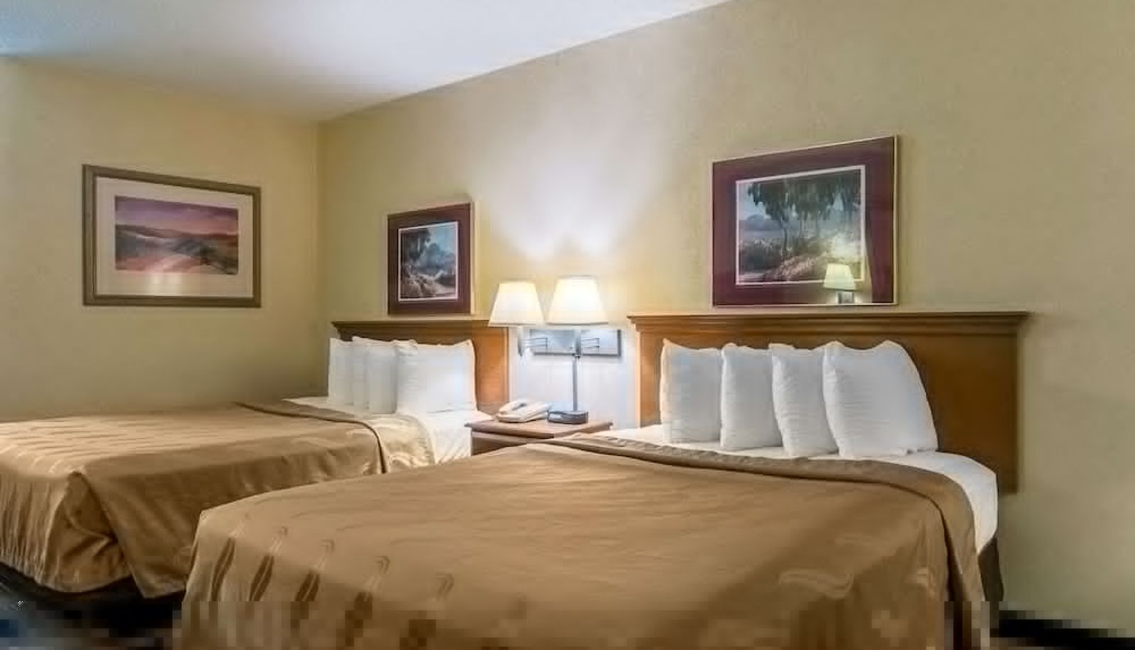Apartment - Quality Inn Oakwood