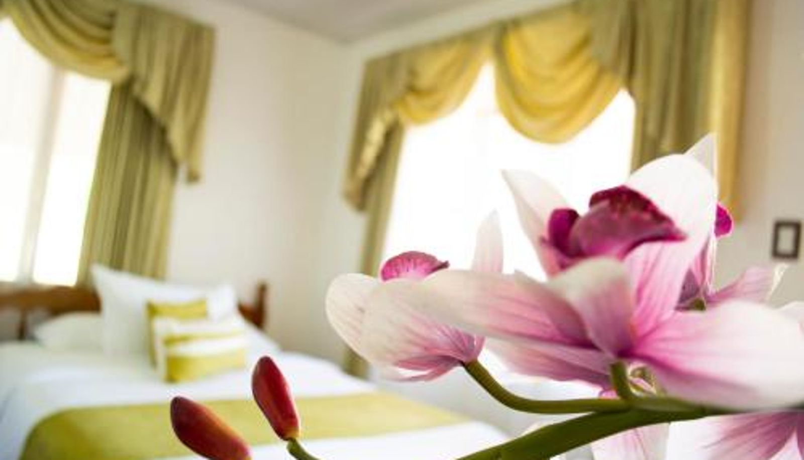 Zimmer - Hotel Villabosque Eco Boutique