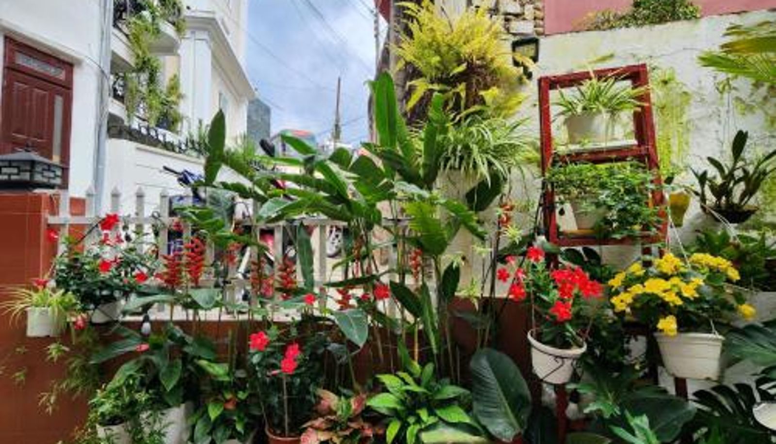 Info - Bình Đào Hotel - Khách sạn ngay trung tâm giá rẻ