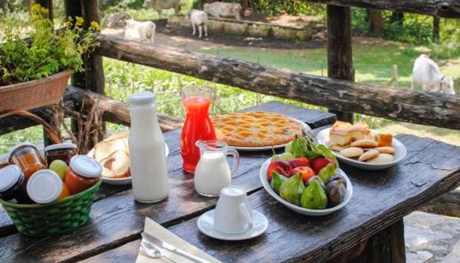 Salle de petit-déjeuner dans le restaurant - Agriturismo La Ferrera