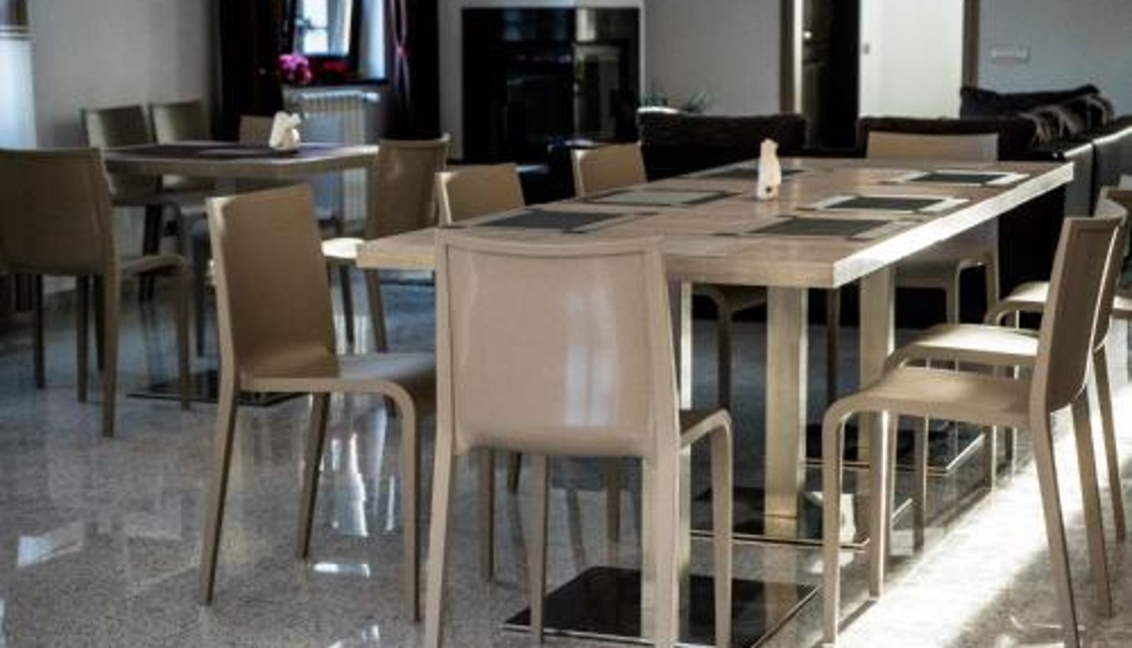 Sala de desayunos dentro del restaurante - Pensiunea Negoiu
