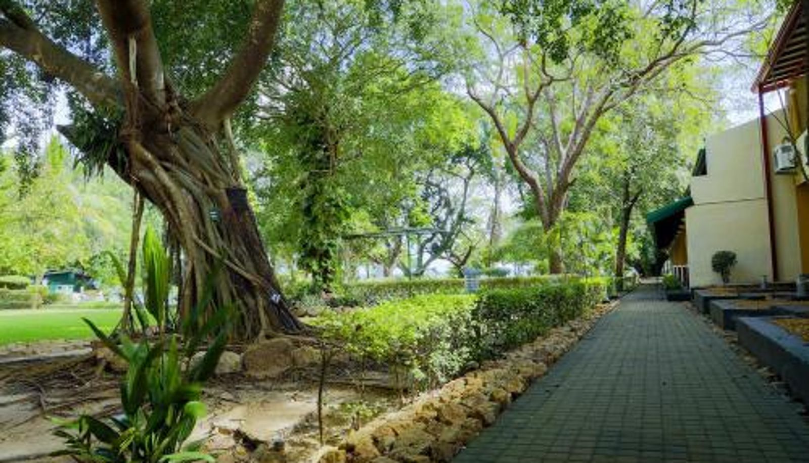 Info - Miridiya Lake Resort