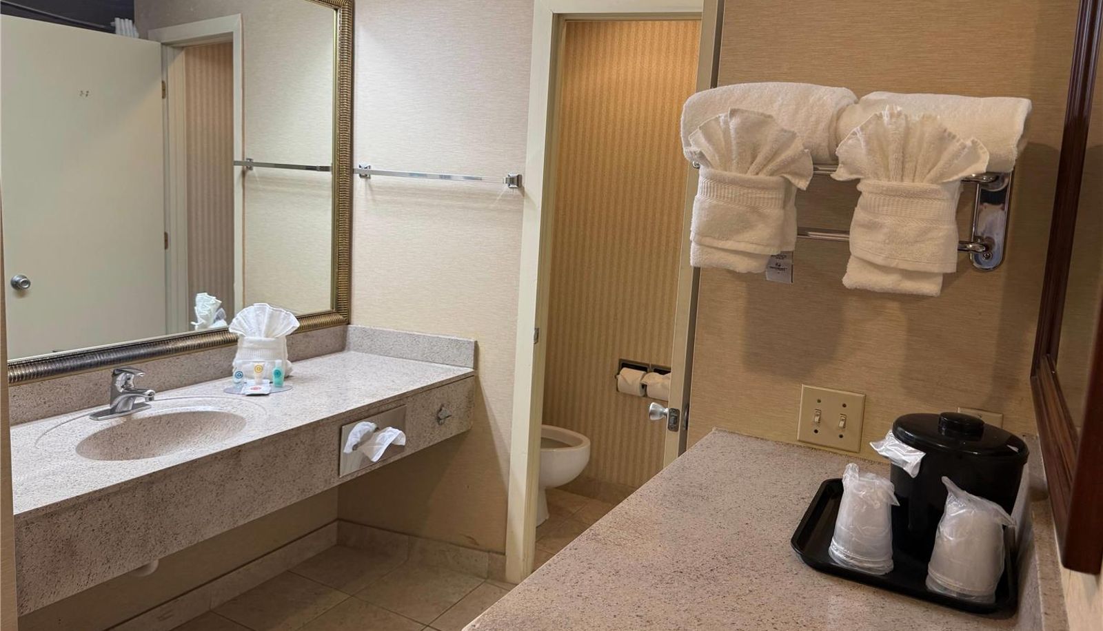 Zimmer - Wingate by Wyndham Livonia