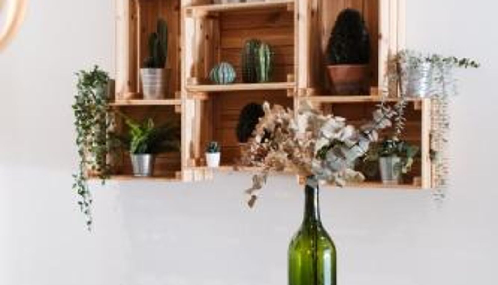 Reception - Hotel Isla Menor