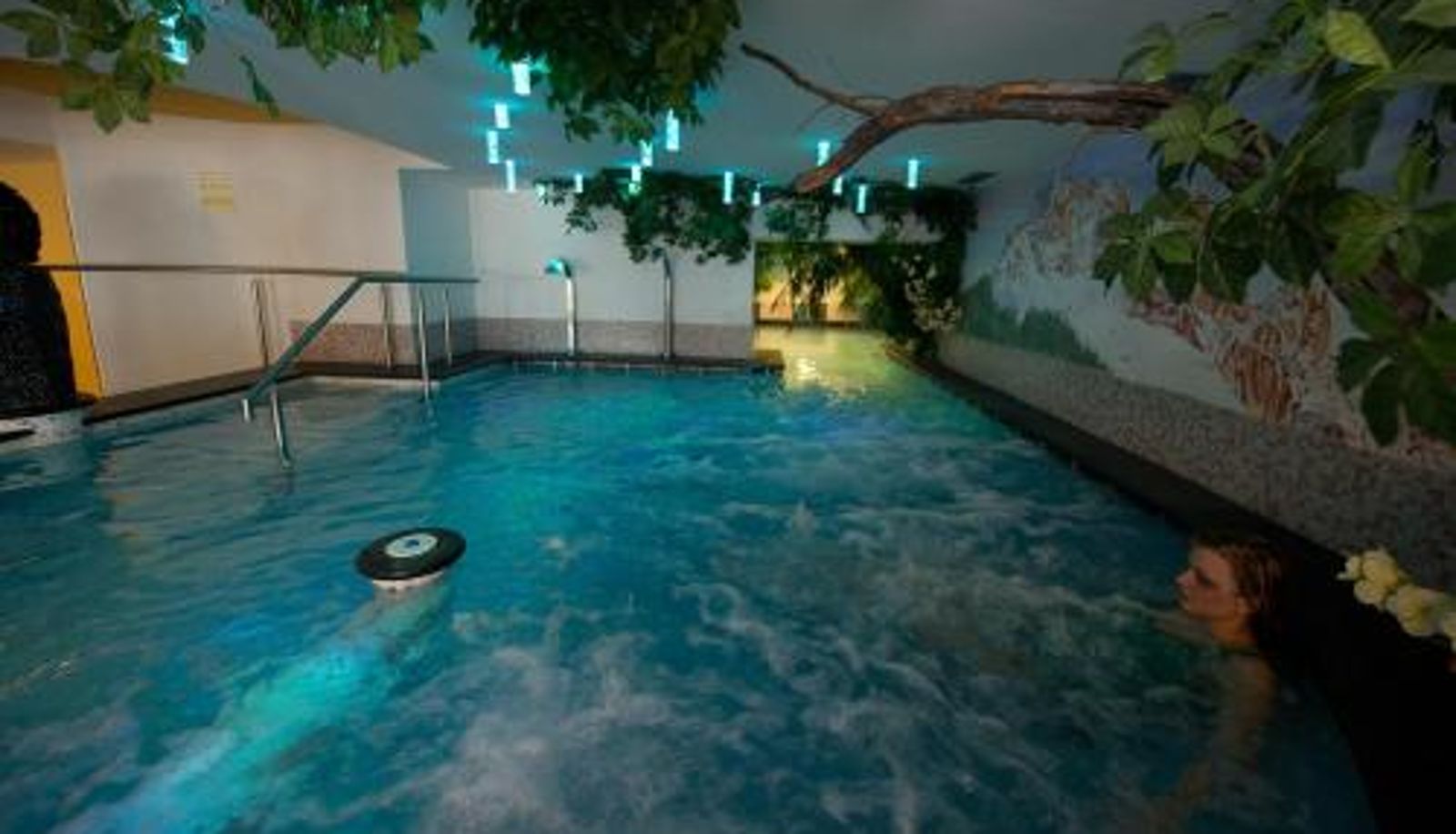 Pool - Family & Wellness Hotel Fontana