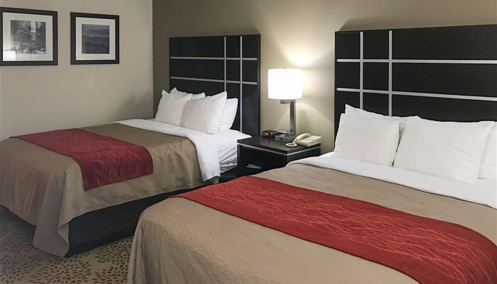 Room - Comfort Inn North of Asheville