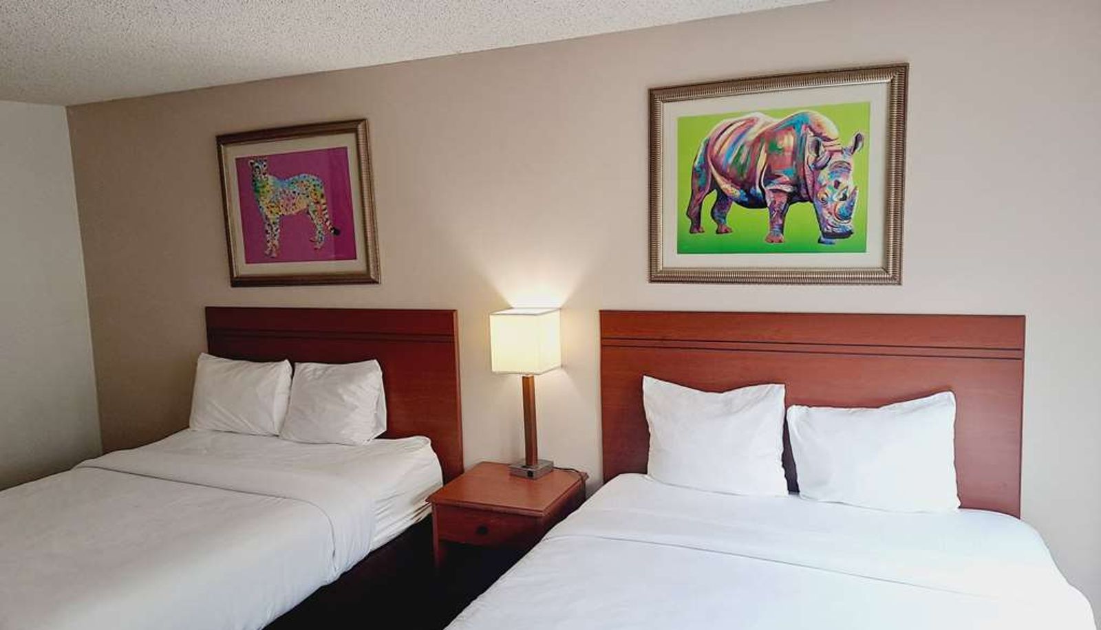 Zimmer - AmericInn by Wyndham Omaha Near Zoo
