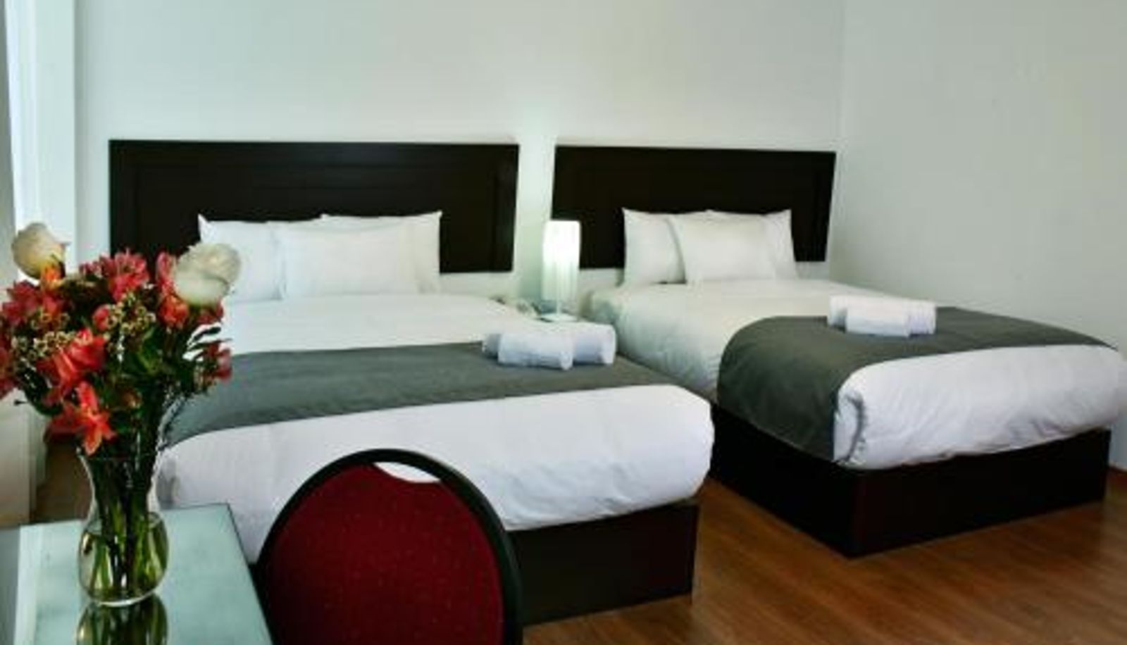 Zimmer - Hoteles Riviera Ejecutivo