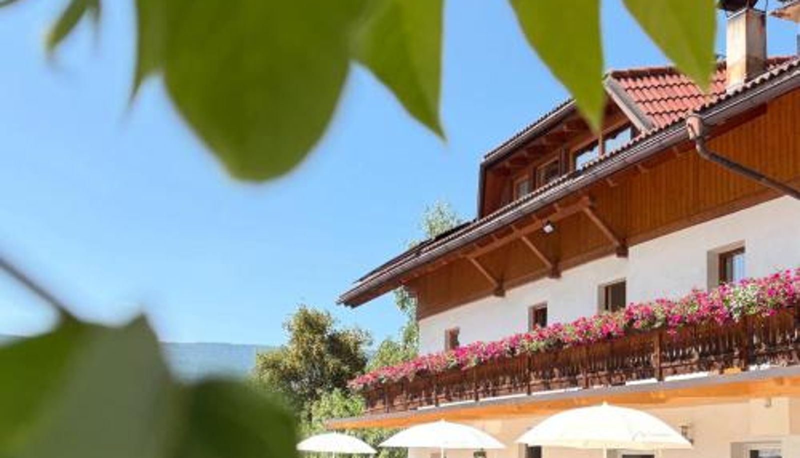 Hotel Außenbreich - Pension Wirt am Bach