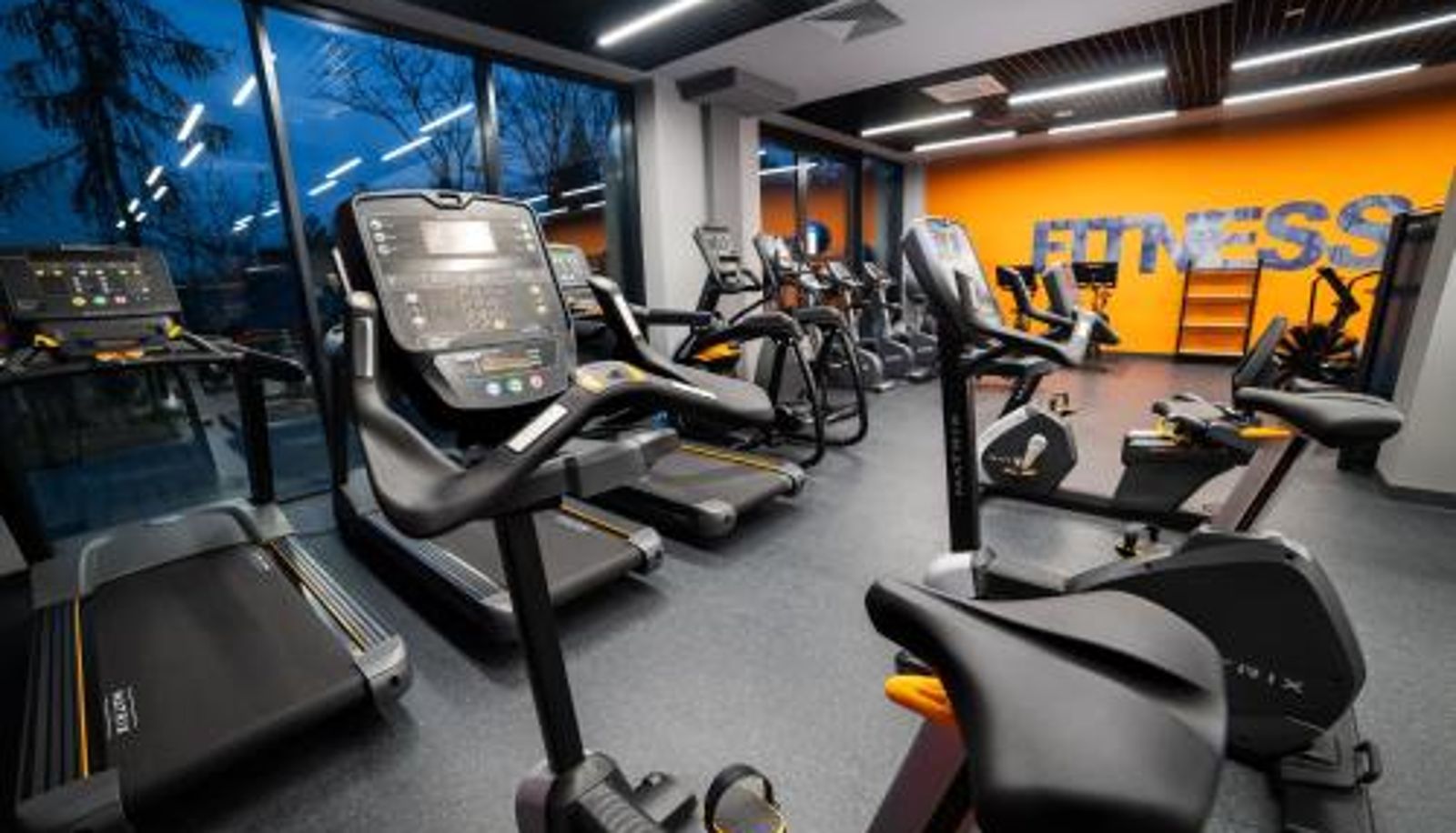 Wellness and fitness area - Hotel Angie