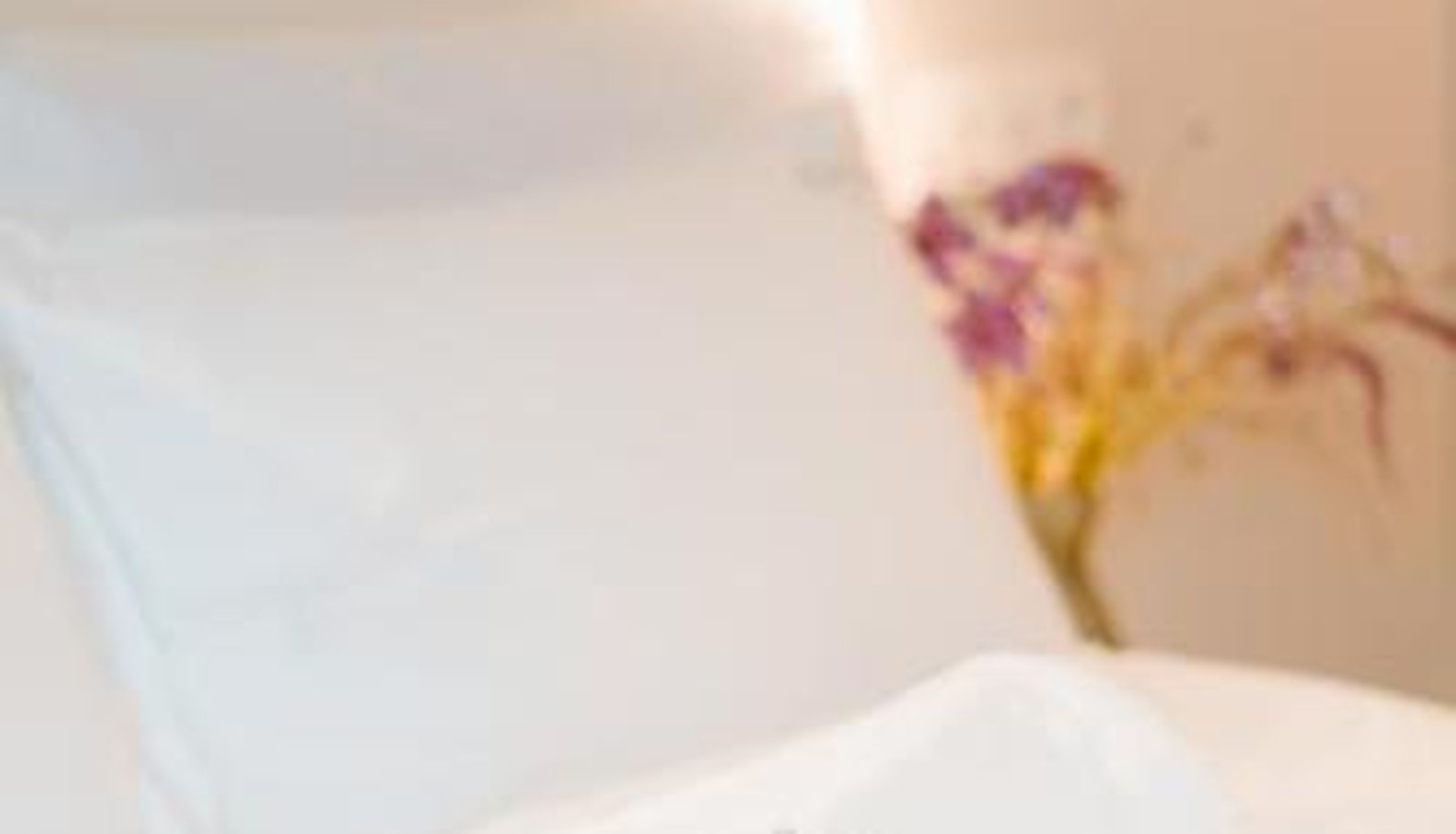 Info - The Librarian by Domani Hotels
