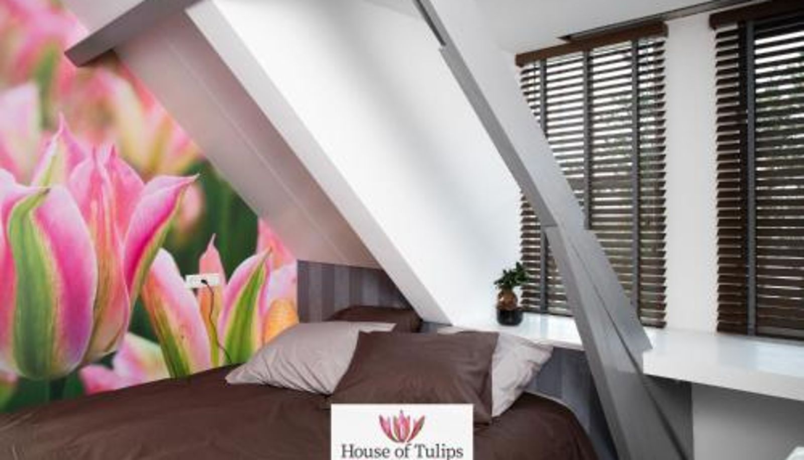 Info - House of Tulips