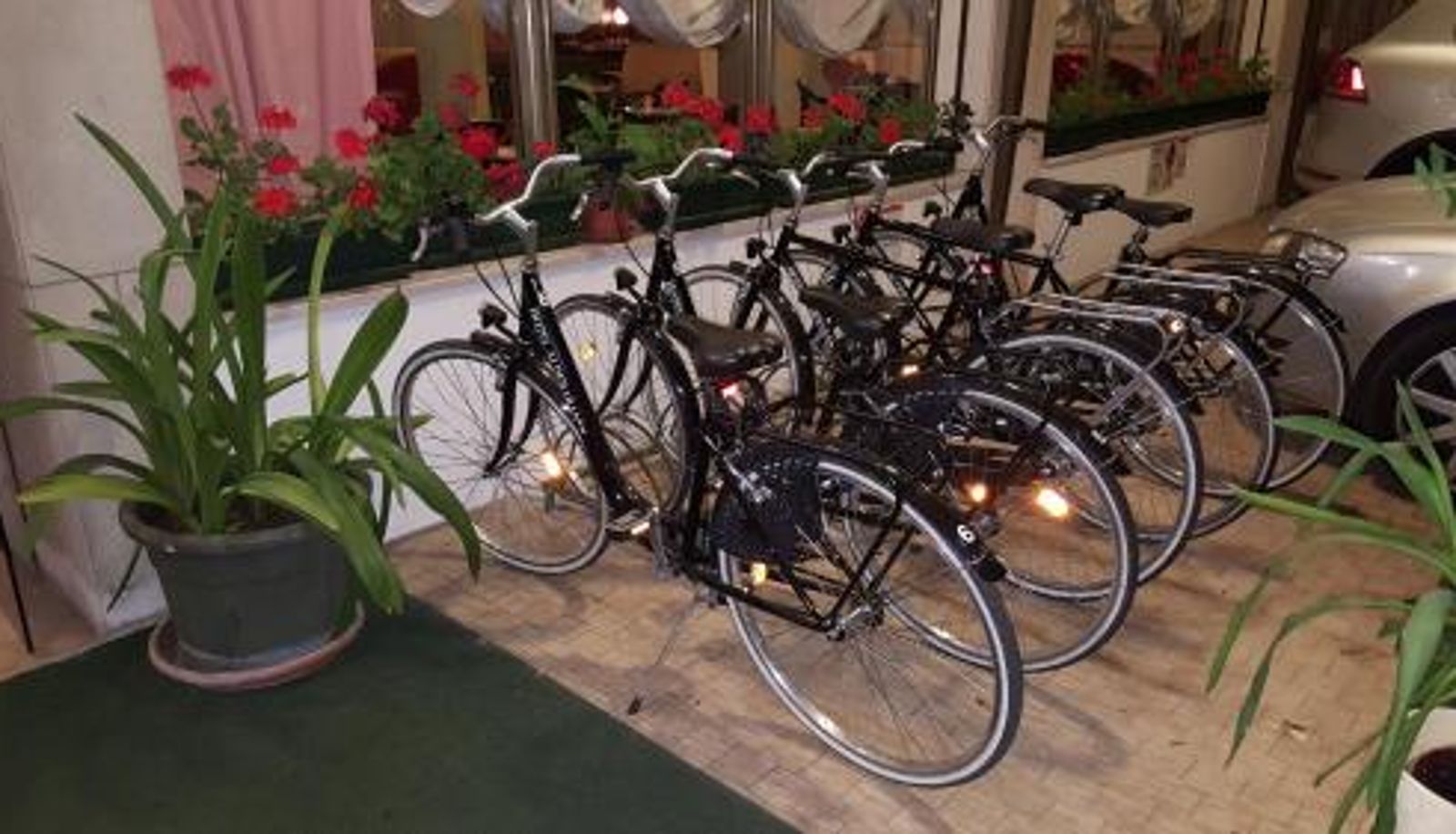 Wellness and fitness area - Hotel ALDEBARAN & Restaurant