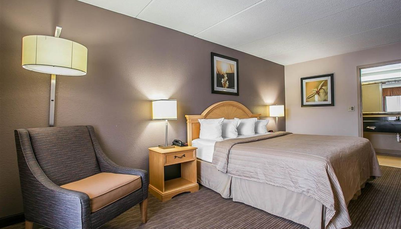 Zimmer - Quality Inn Hartsville