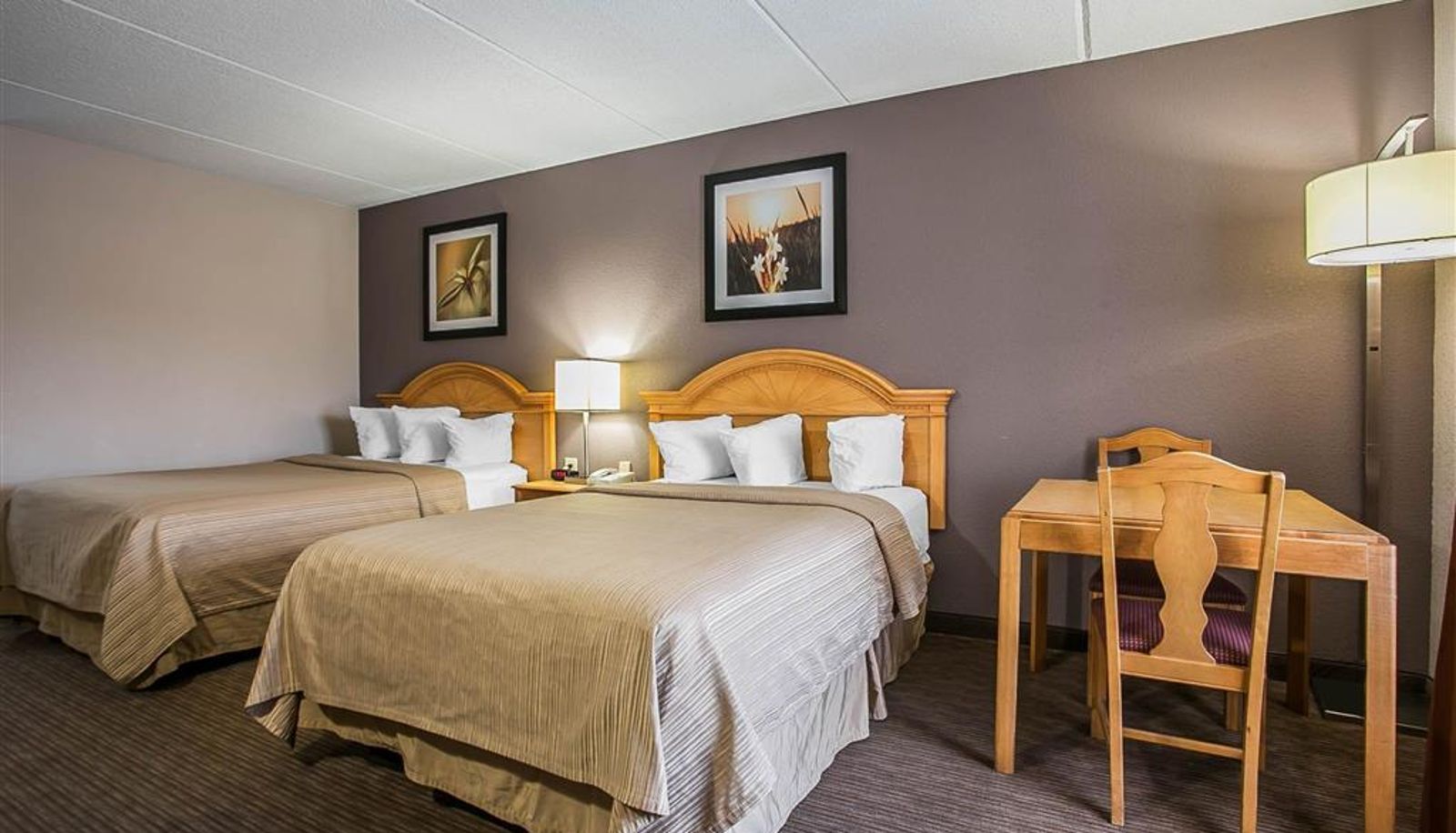 Camera - Quality Inn Hartsville