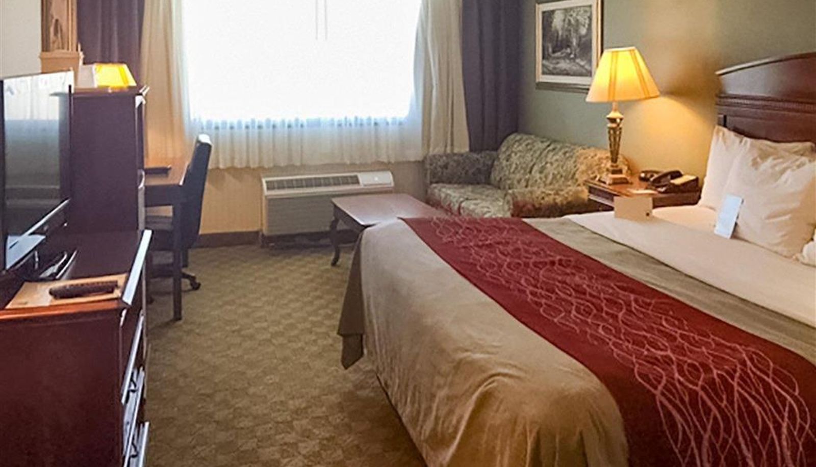 Kamer - Comfort Inn Springfield