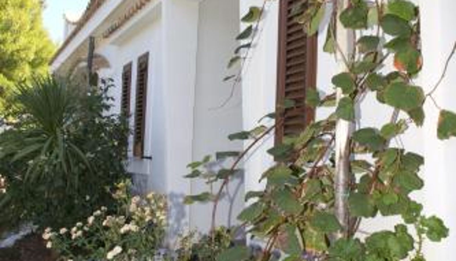 Room - Oasi Beach Hotel