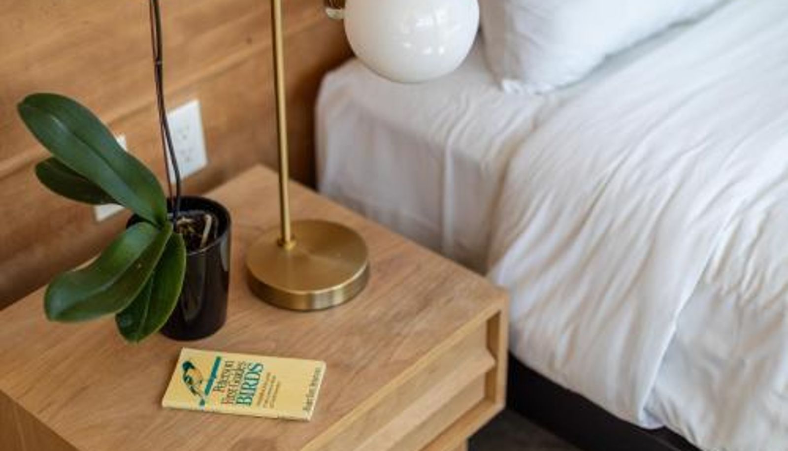 Standardzimmer - Abpopa Hillcrest