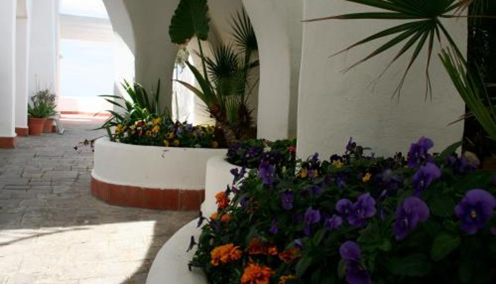 Info - Casa Vacanze Elianto