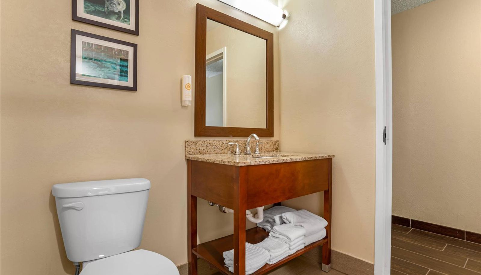 Room - Comfort Suites Tallahassee Capitol - University Area