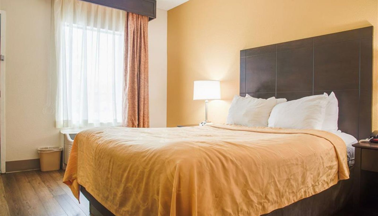 Zimmer - Quality Inn & Suites Aiken East