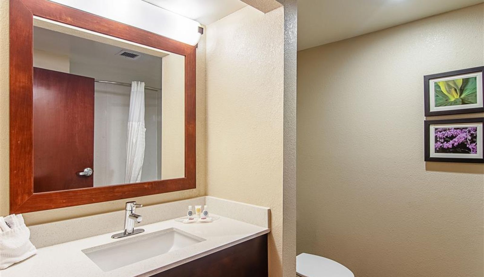 Zimmer - Comfort Suites Knoxville Airport