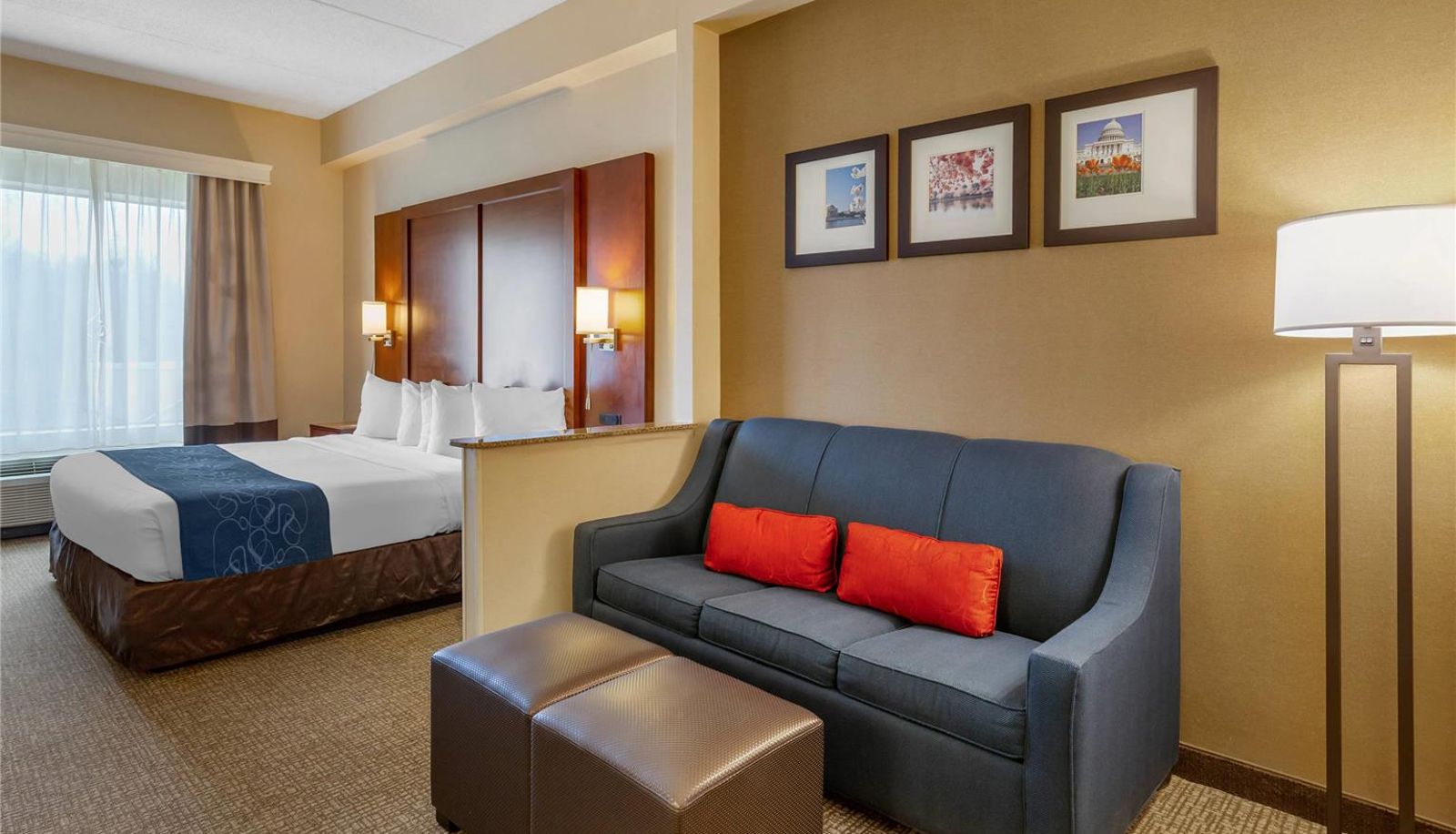 Chambre - Comfort Suites Manassas Battlefield Park