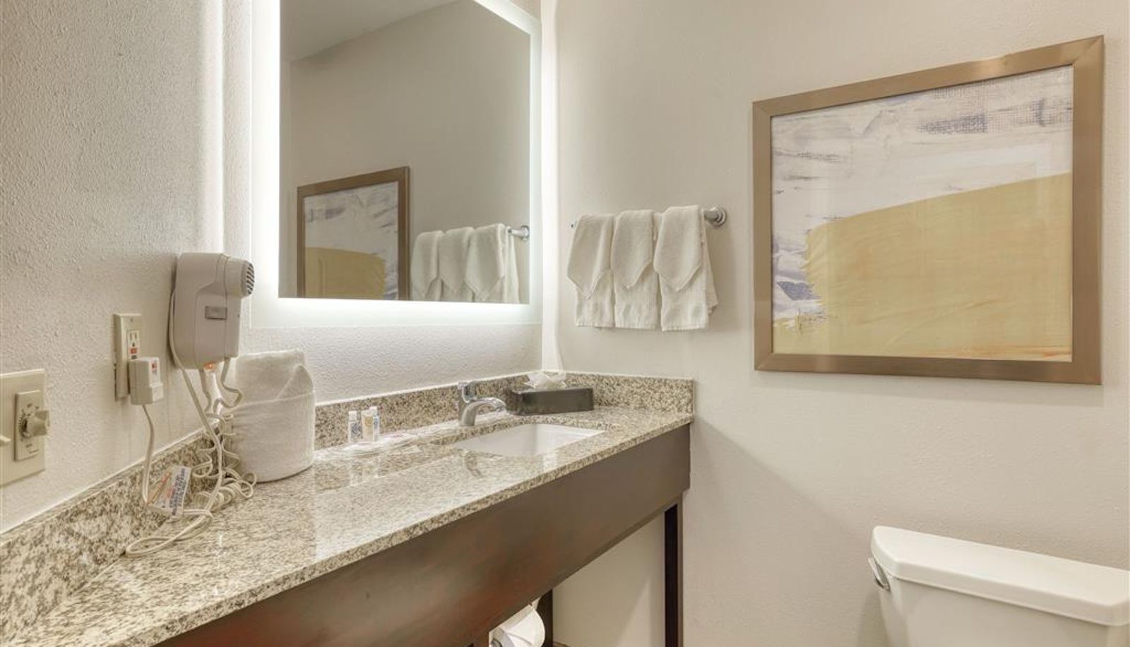 Room - Comfort Suites Milwaukee Airport
