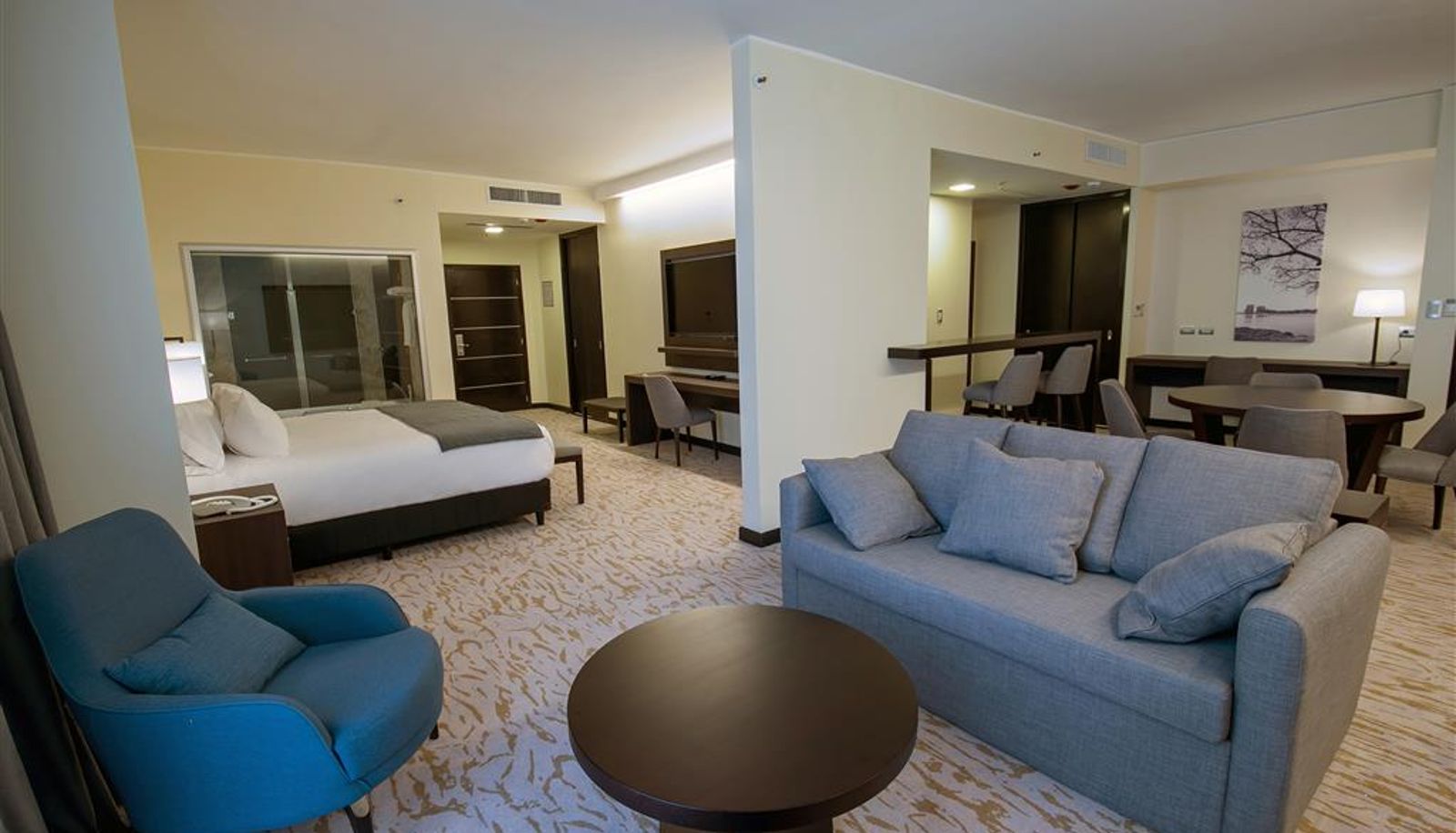 Kamer - Hilton Garden Inn Santiago del Estero