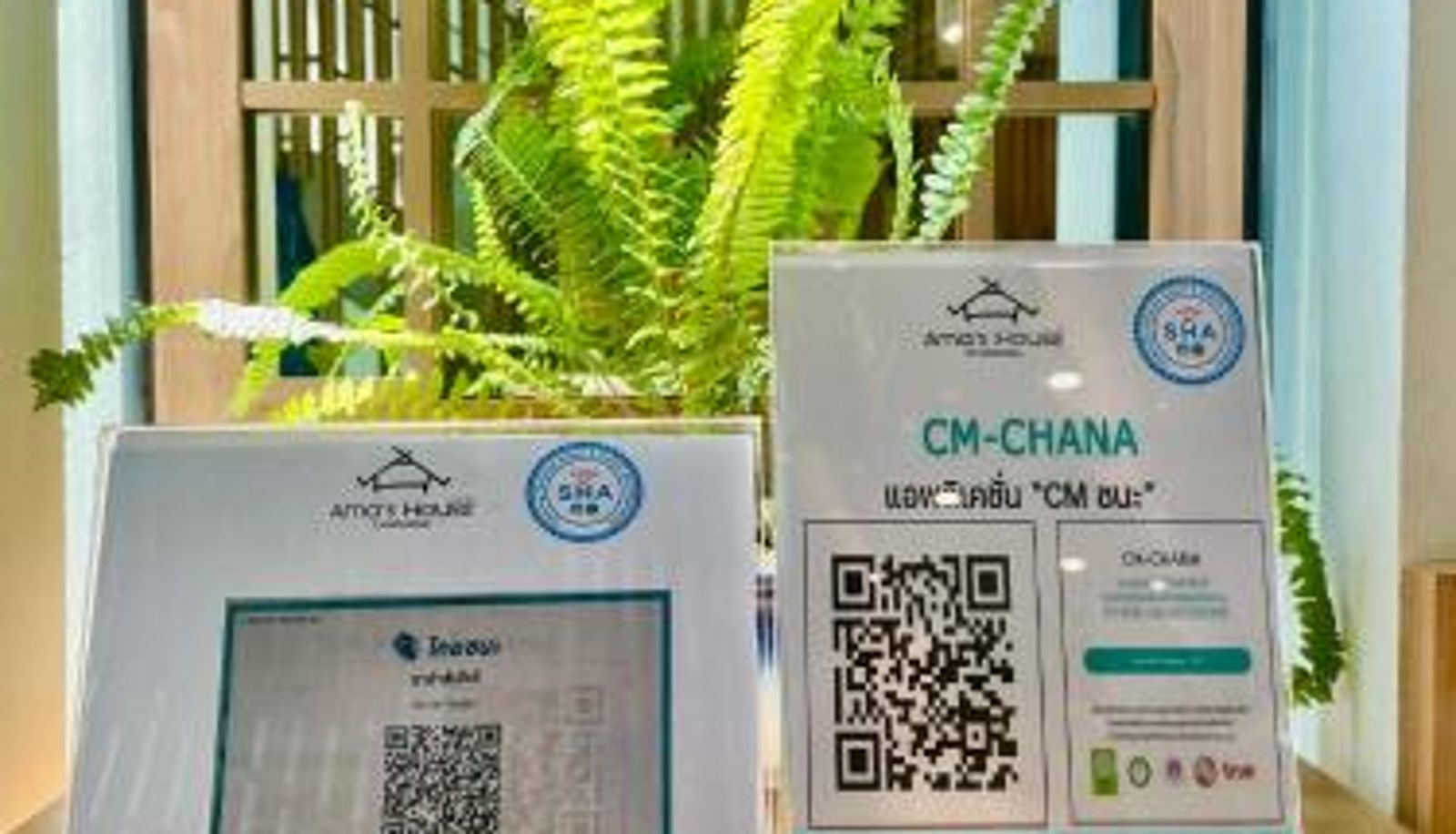 Informacje - Ama's House Luxury Boutique Hotel