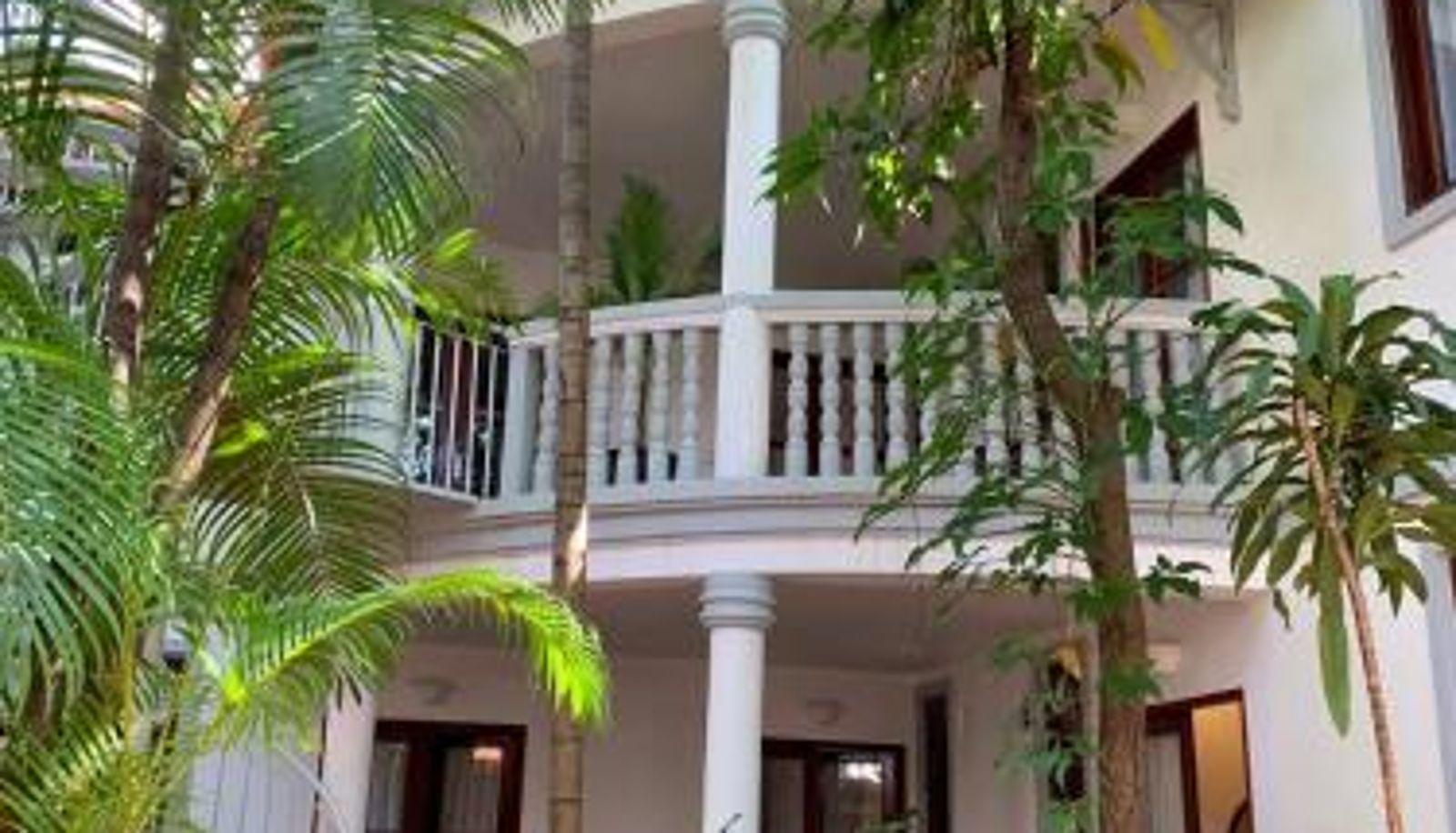 Hotel outdoor area - Jungle Addition