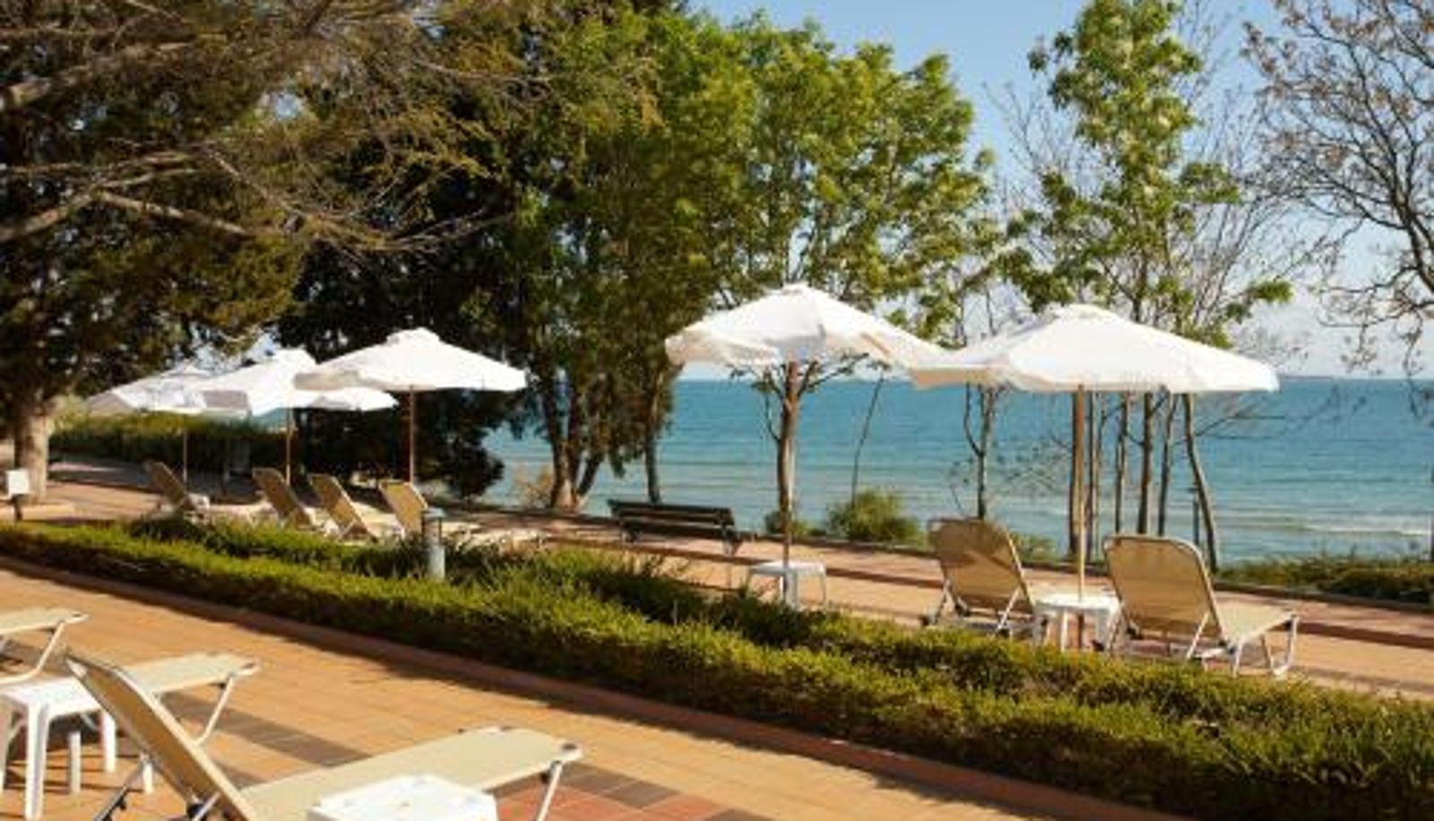 Información - Alua Sunny Beach Resort & Spa