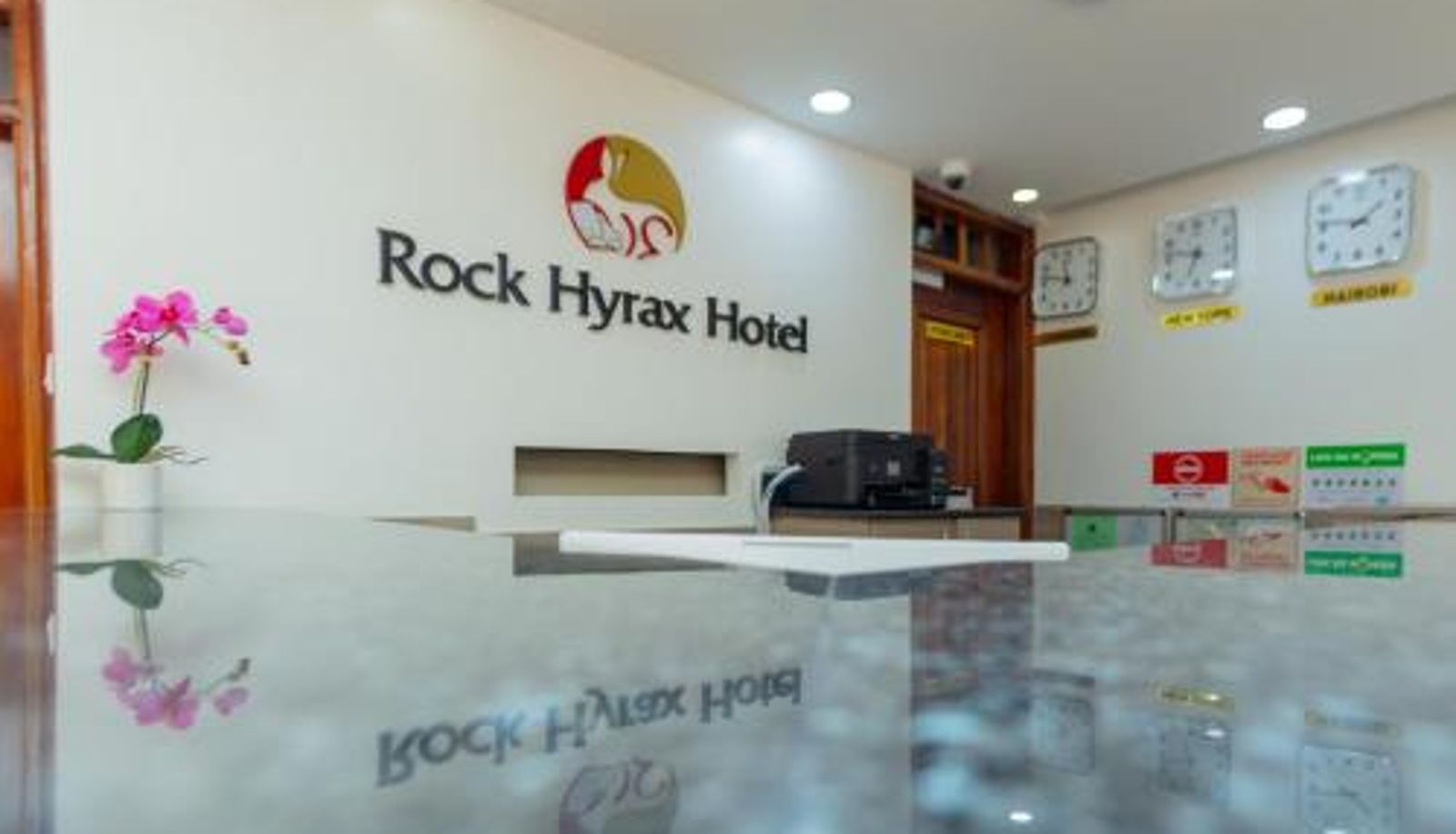Reception - Rock Hyrax Hotel