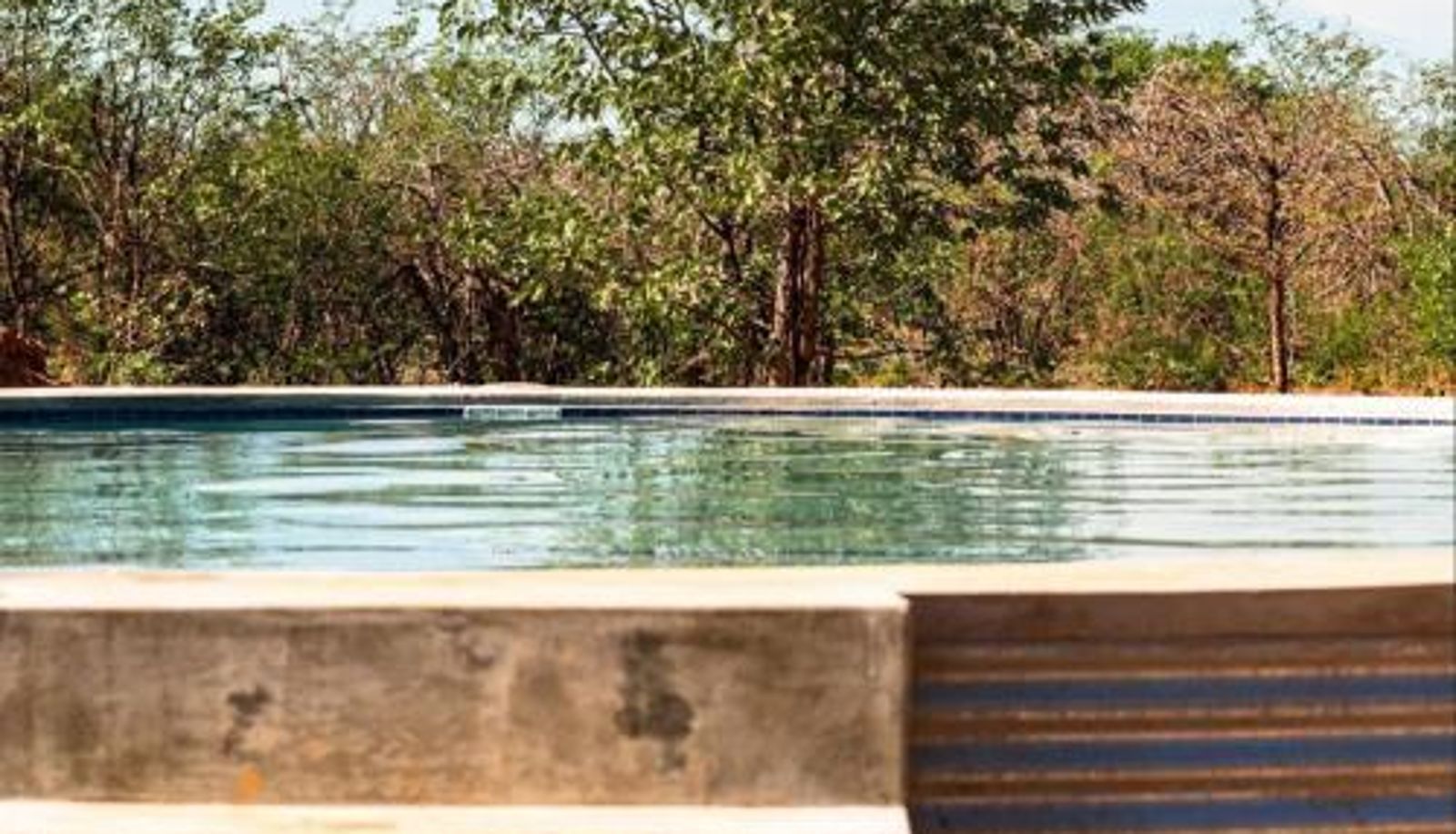 Pool - Kifaru Bush camp