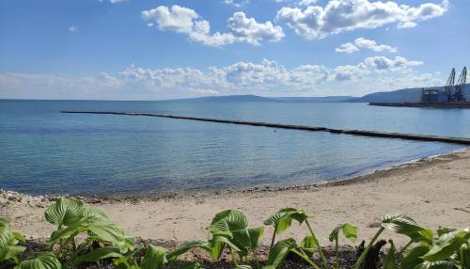 Chambre - Hotel Oasis - Beach Access