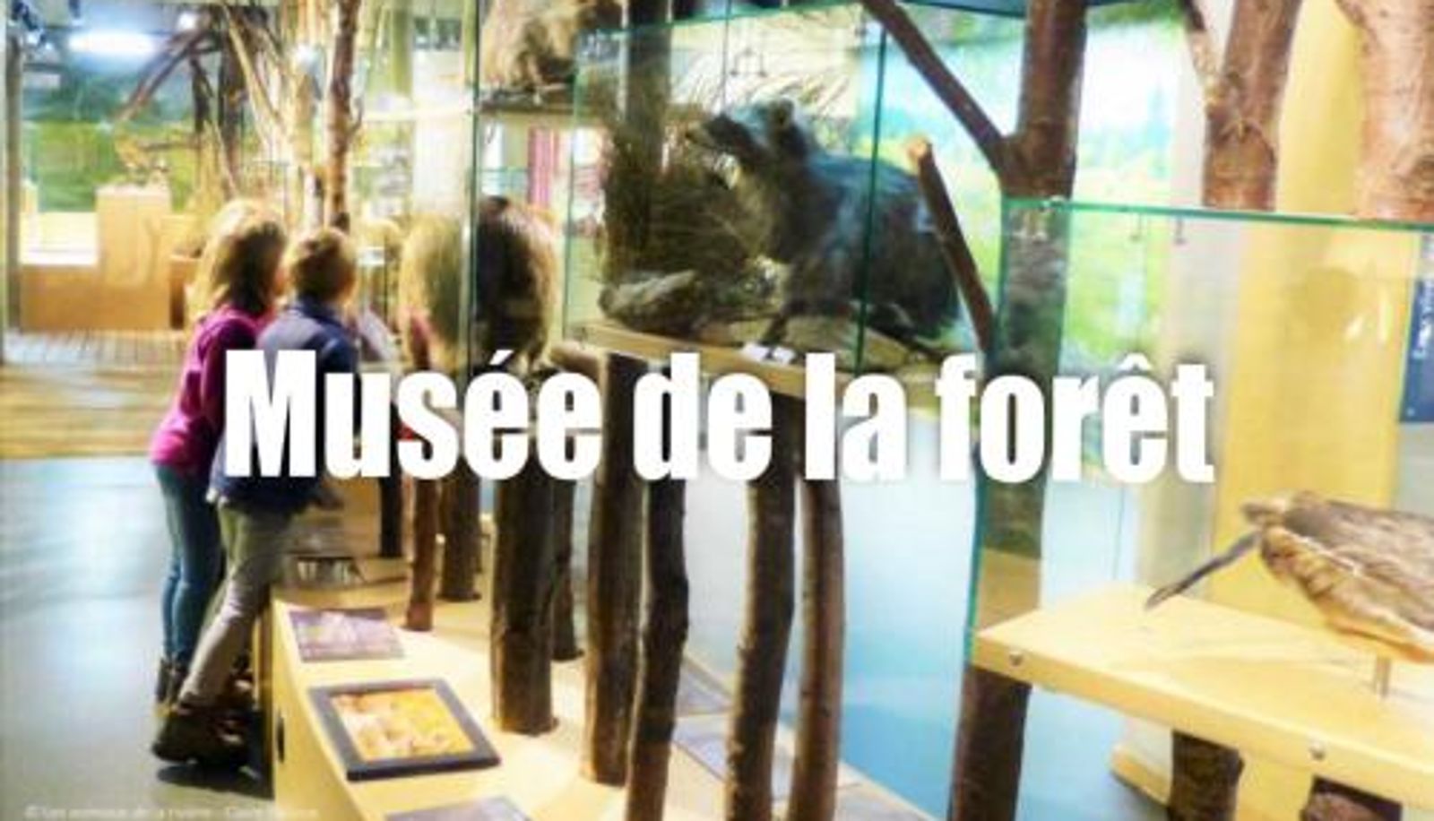 Wellness- und Fitnessbereich - La Ferme du Soyeuru