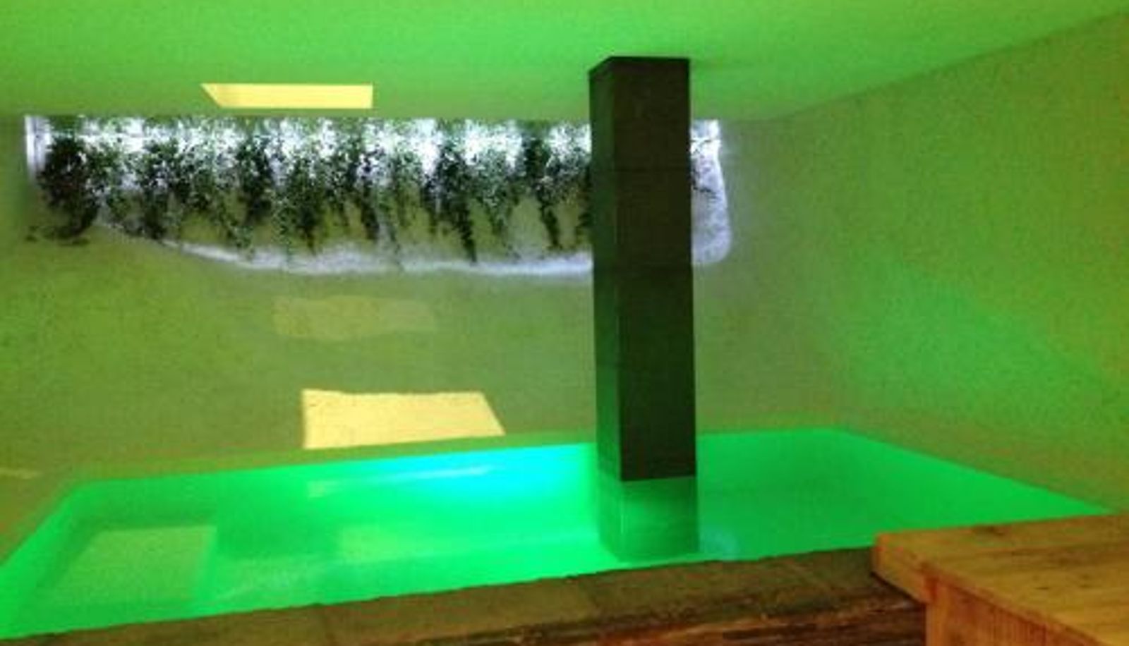 Apartment - Residence Aqualiva à Valberg Piscine privative dans chacun des appartements situé à 20 m des pistes de ski