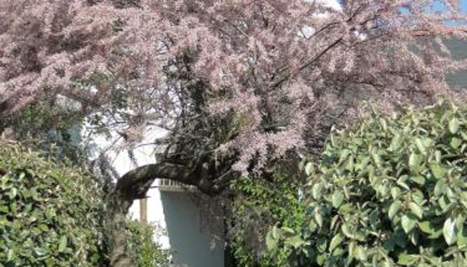 Info - Hotel Aux Tamaris
