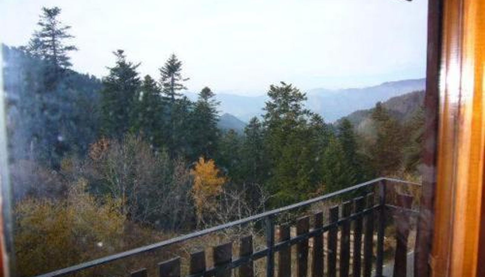 Room - Hôtel Les Chamois