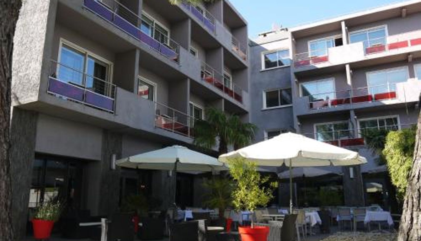 Pool - Le Safari Hotel Restaurant