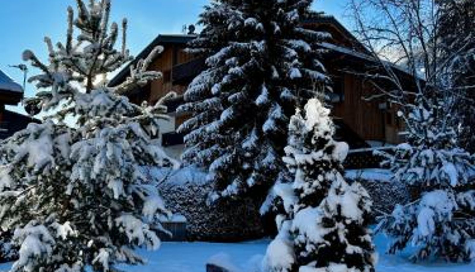 Información - Hotel Bel'alpe