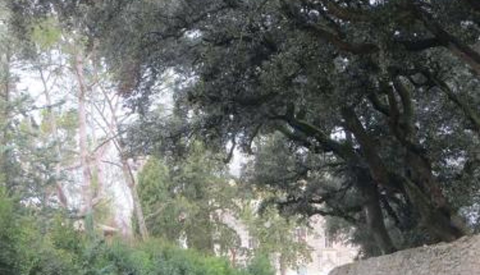 Info - Domaine de Christin Studios-Hôtel