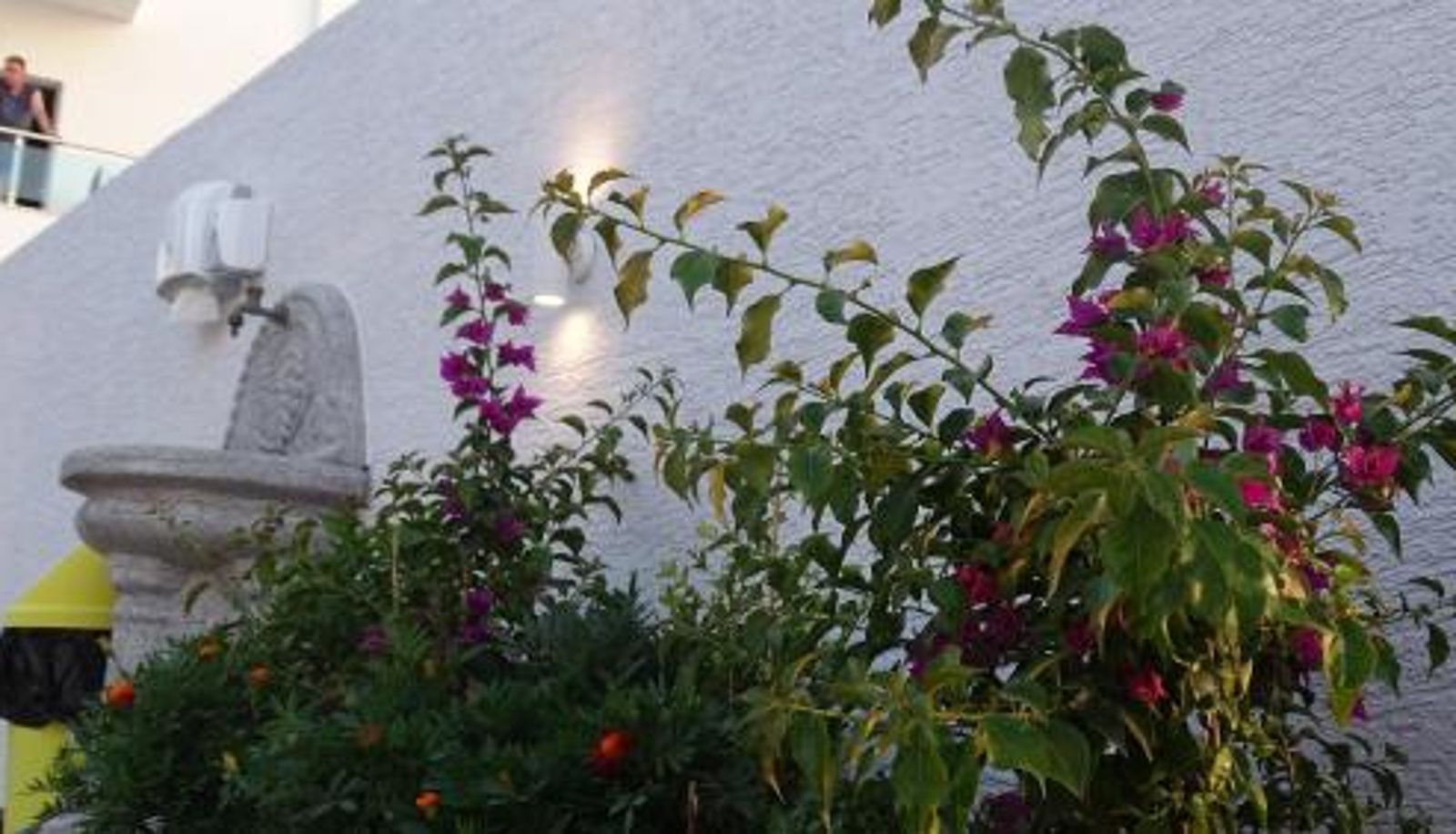 Info - Hotel De Luna