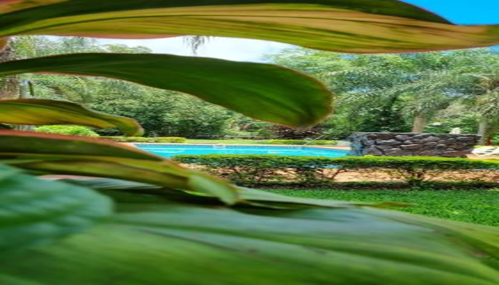 Pool - Hotel Che Roga