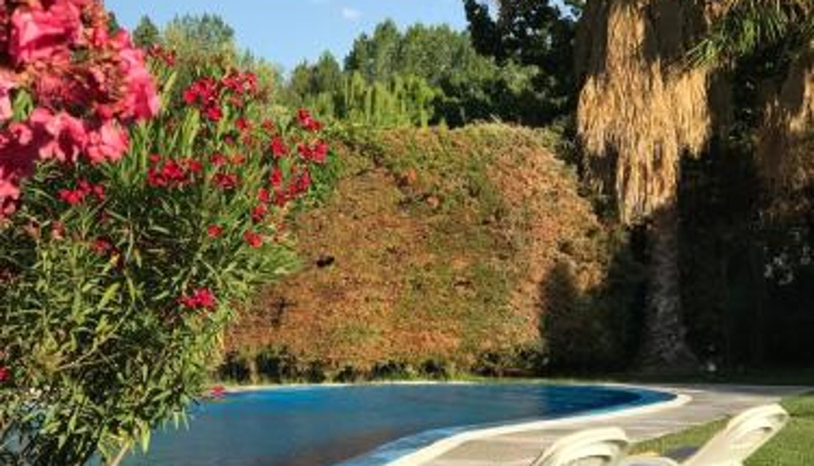 Info - De Los Andes Hotel Boutique